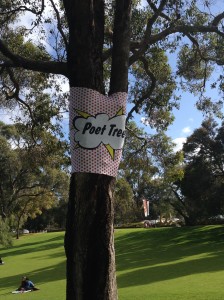 Poet Tree in King's Park, Perth, Western Australia.